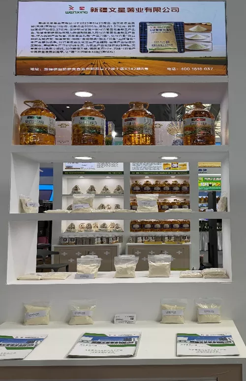 Como Xinjiang Wenxing exibe todas as vantagens da cadeia industrial da batata na 9ª Expo China-Eurásia?